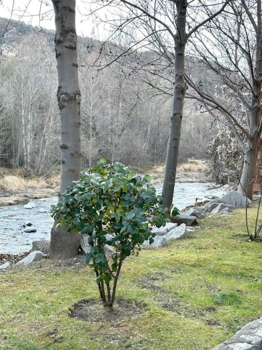Acogedor Alojamiento En Martinet, Cerdanya, Puigcerda Екстер'єр фото